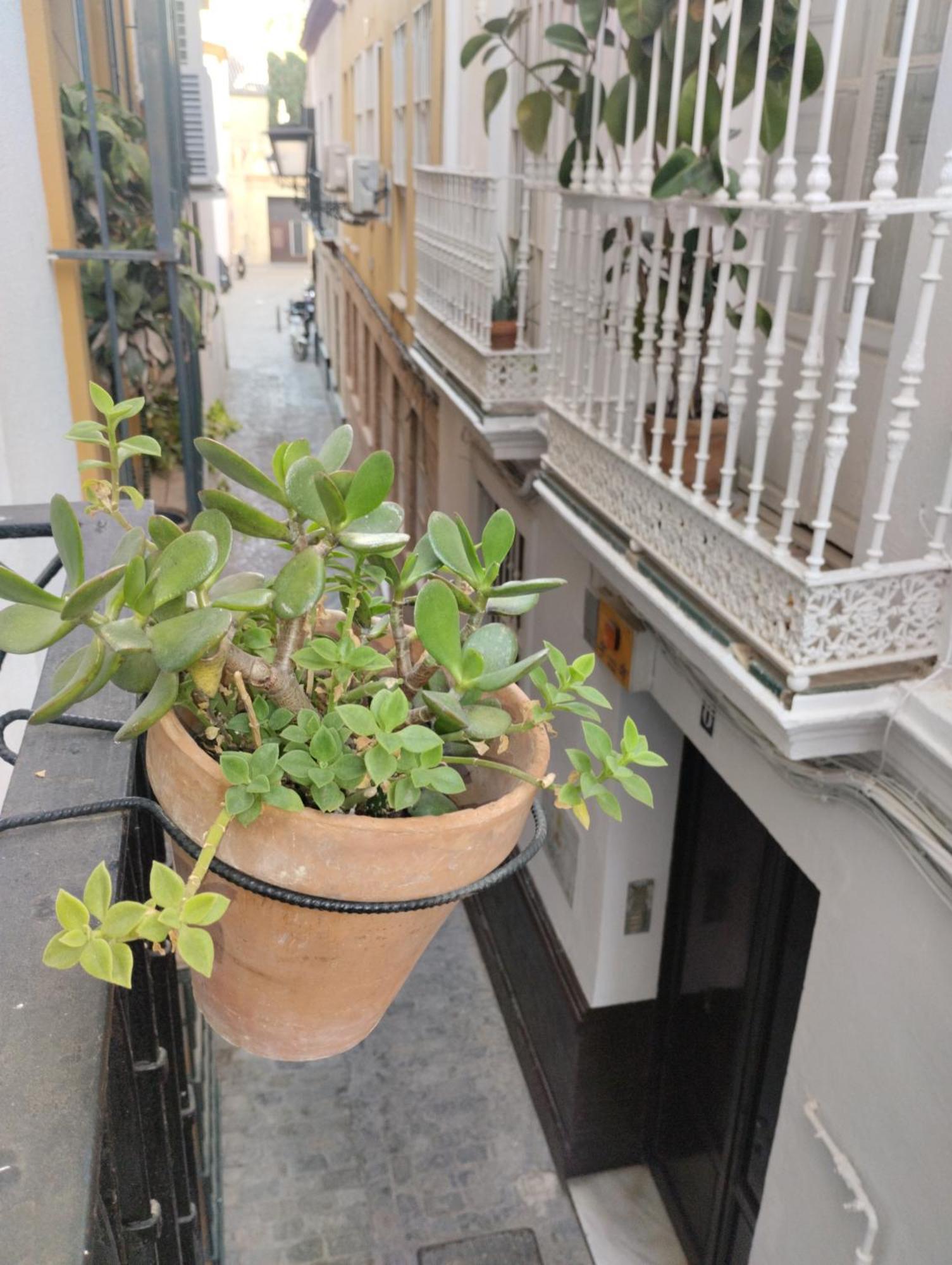 Lanza. En El Corazón De Apartamento Sevilla